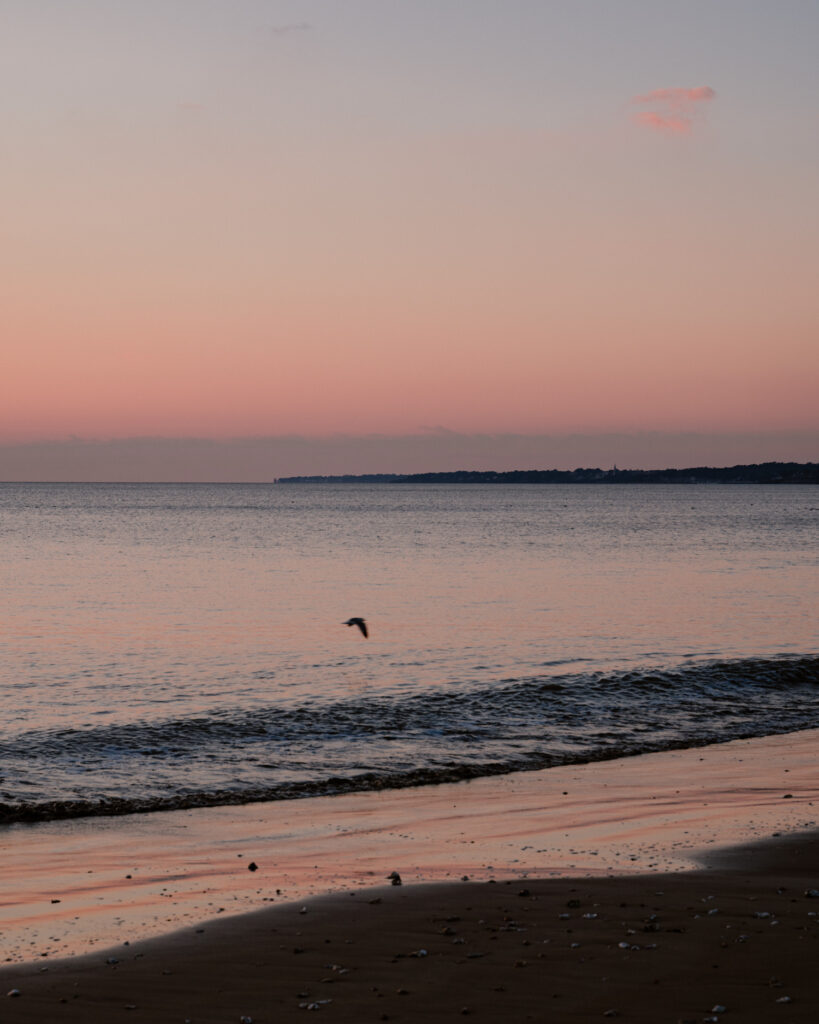 ateliers d'écriture en ligne